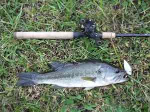 2014 10 06 17in 2.13lb LMB Sherwood