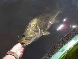2014 08 14 24in 7.65lb LMB Spring Water