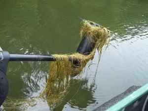 Fouled Trolling Motor   Spring 2013 06 01