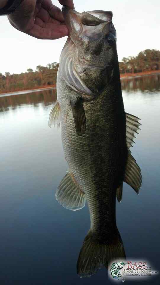 Fishin