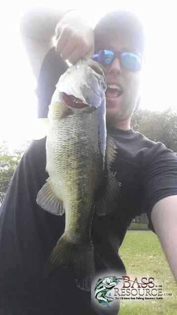 Local ponds