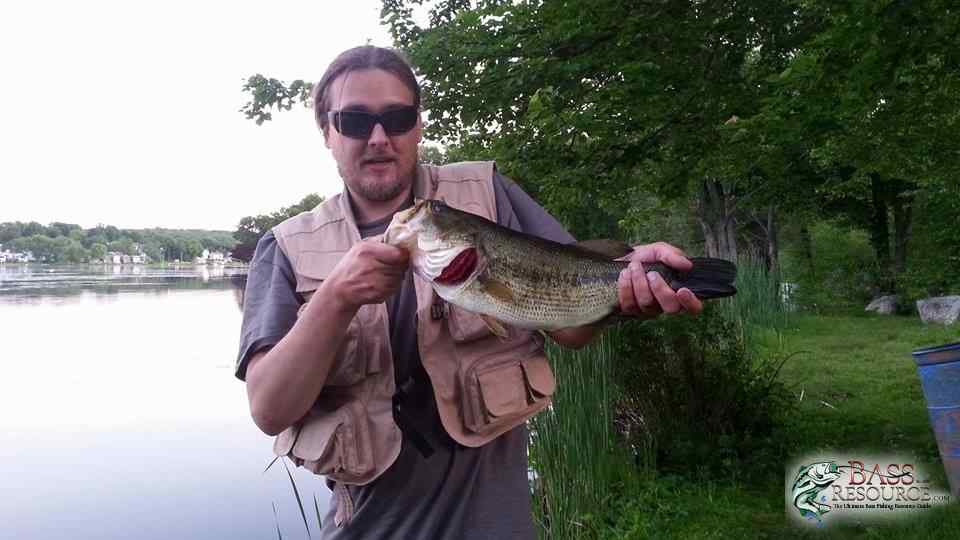 My fish