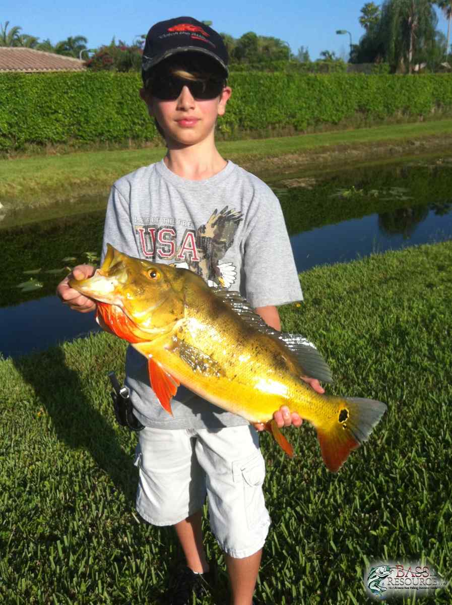 Fishing Pictures - Bass Fishing Forums