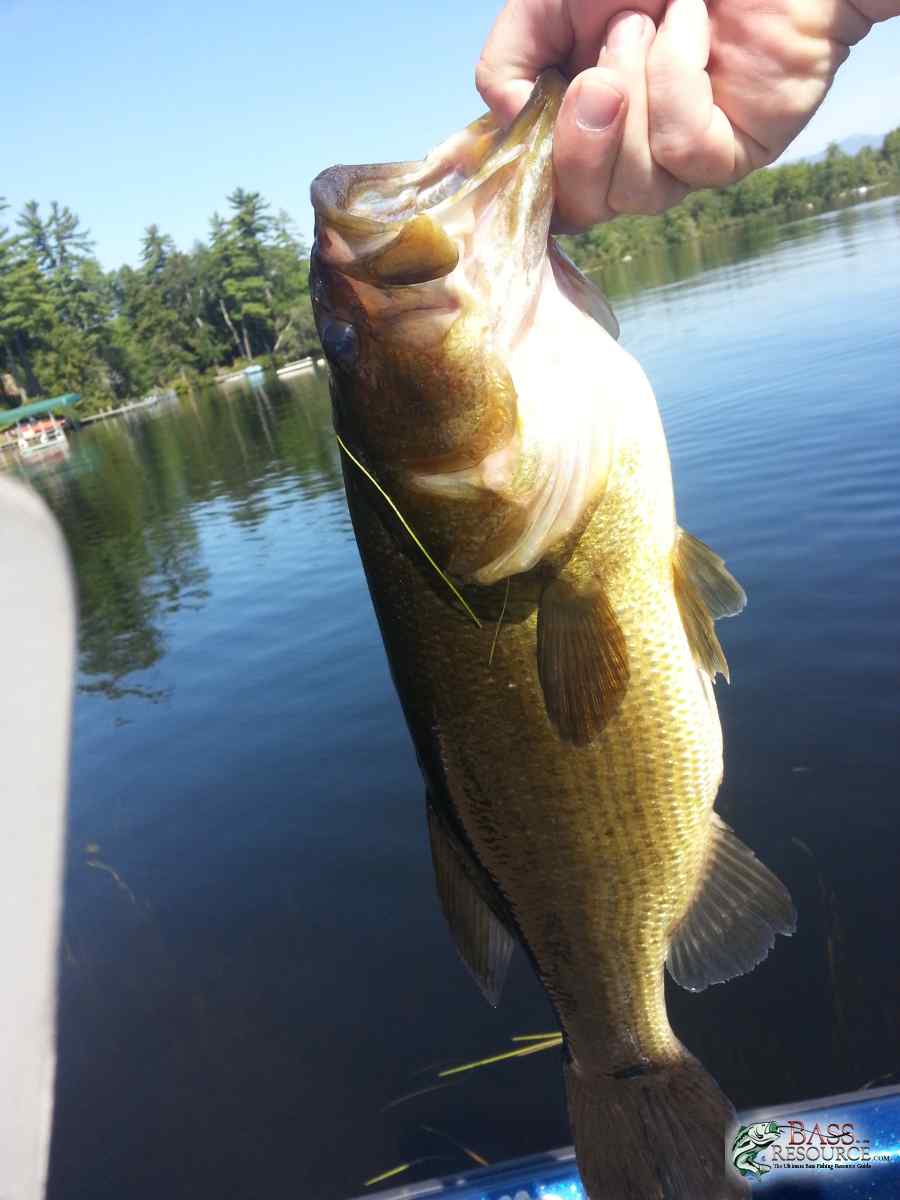 8/20/2014 