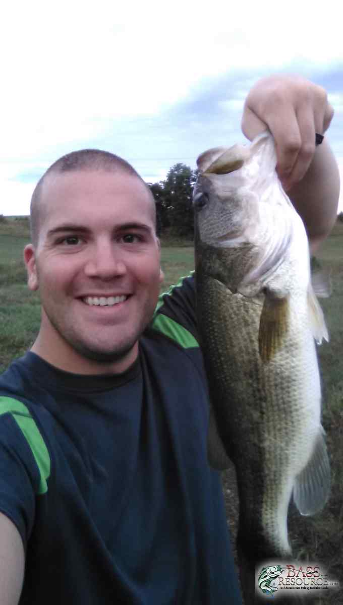 The Fish!