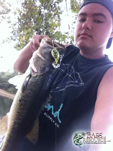 Buzzbait