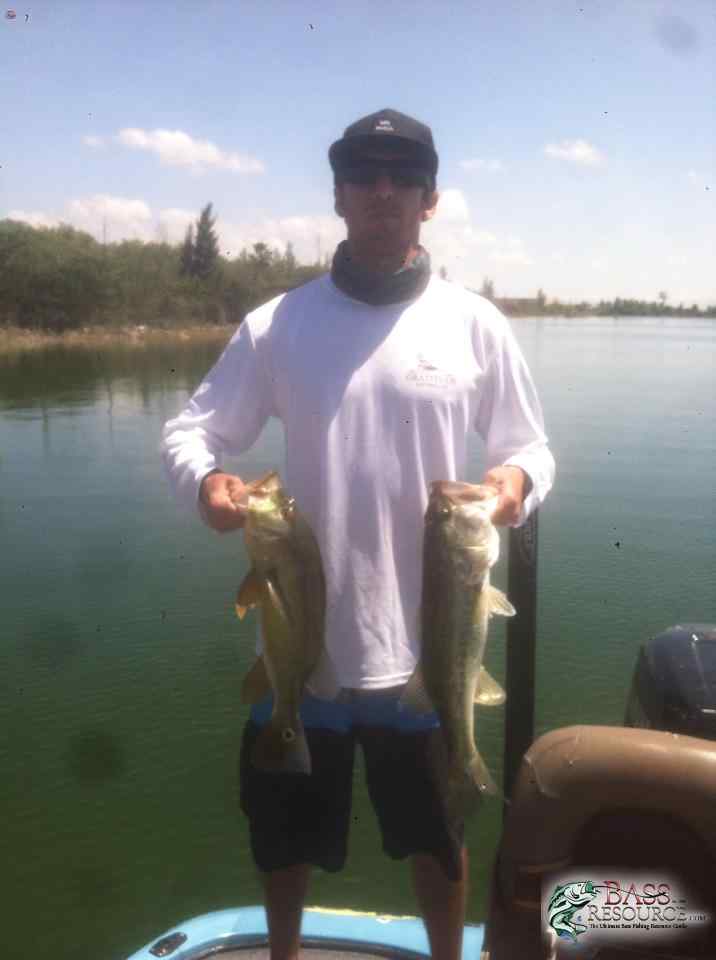 FISHES