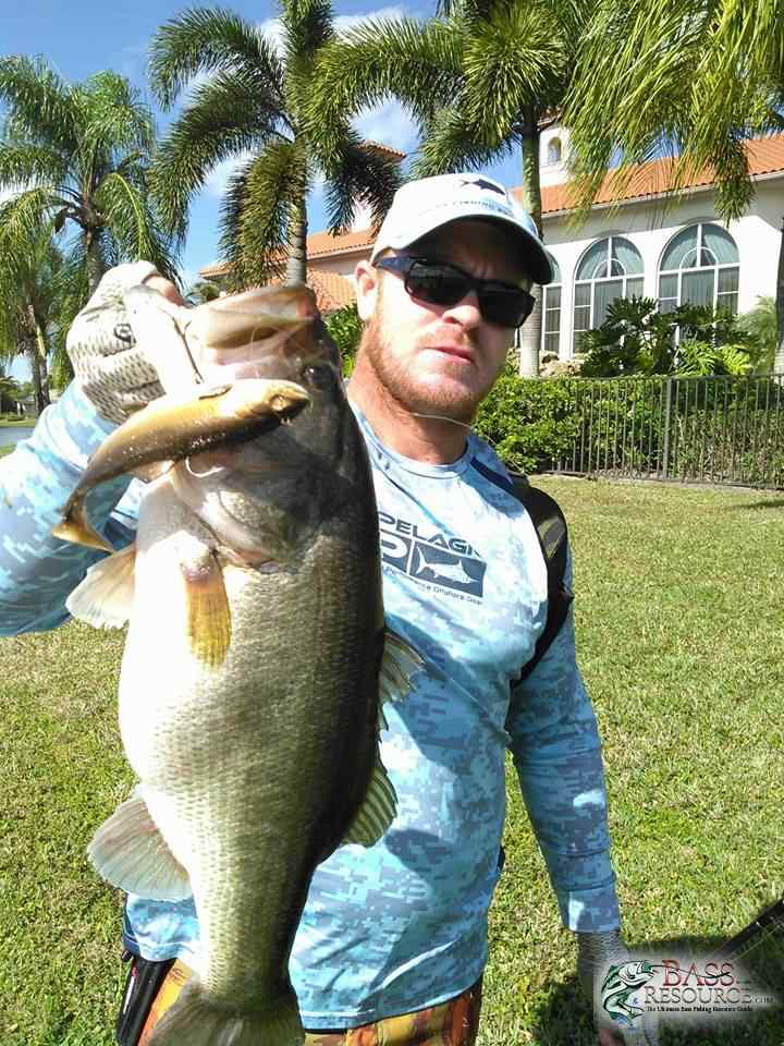 Bass