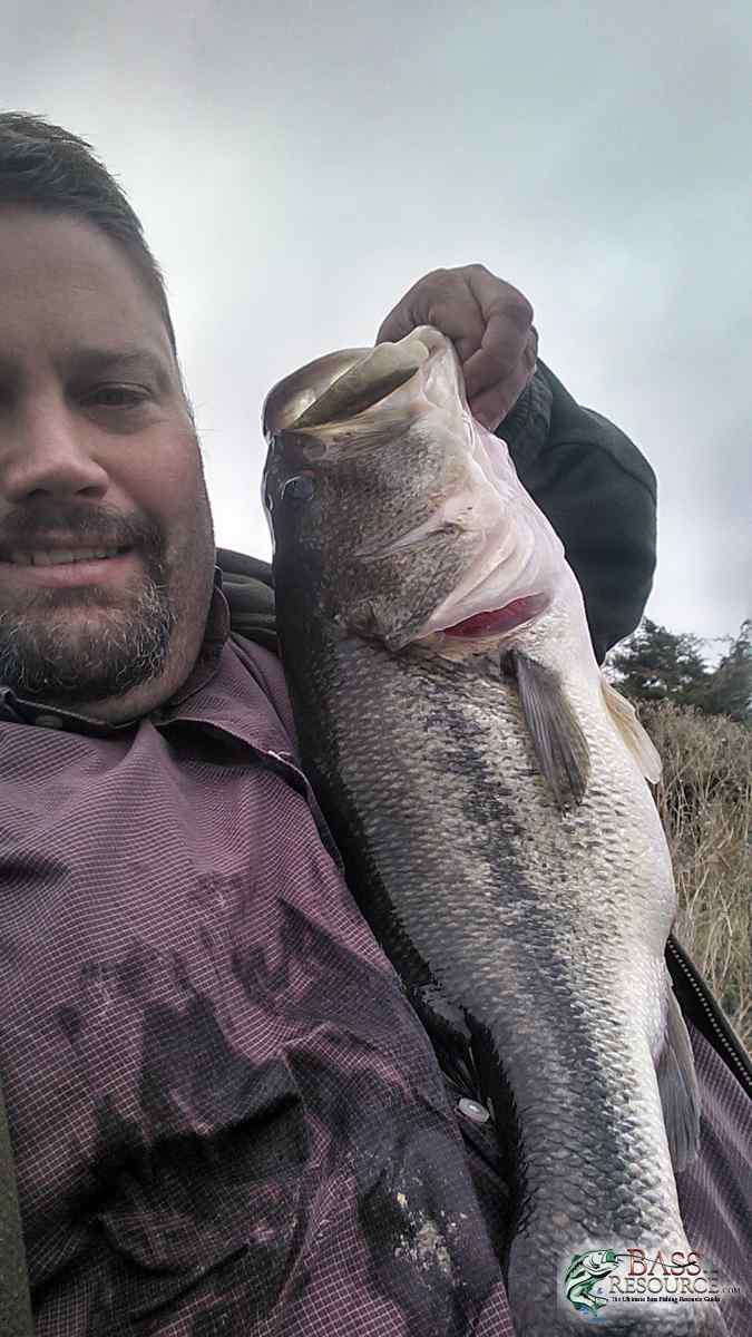 Honey Hole