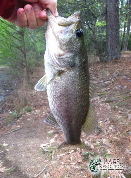 Lake Heath