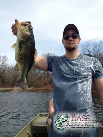 Fish PIcs
