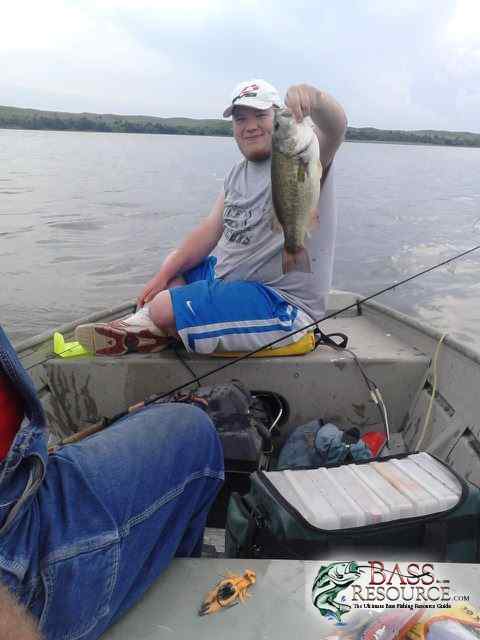Bass