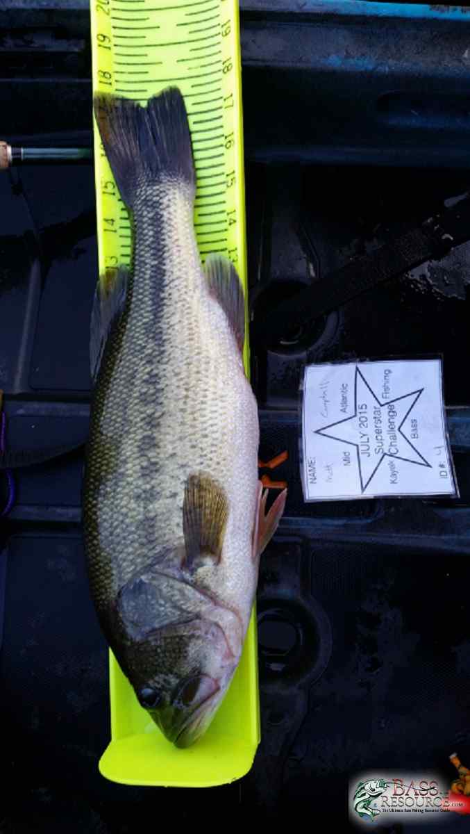 Latest Catches