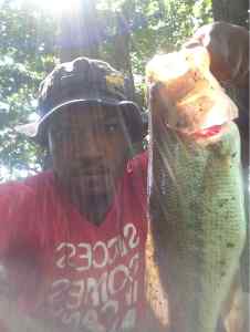 8 12 bass 3