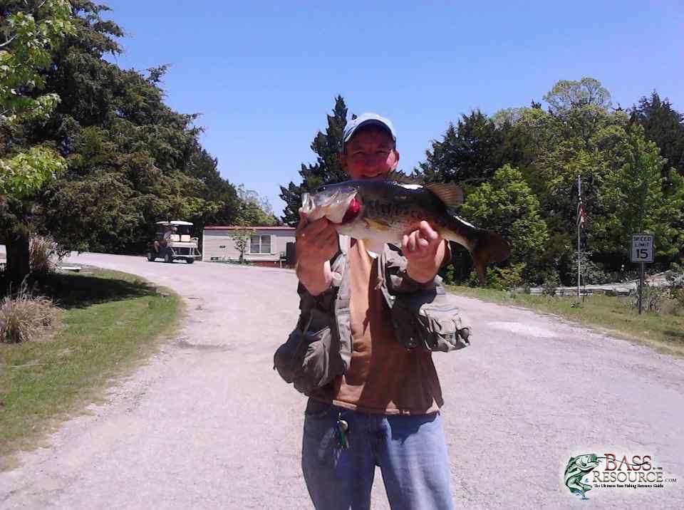 best fish