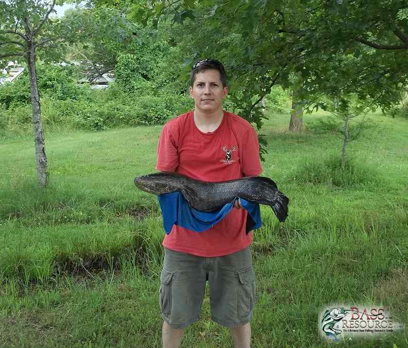 Snakehead Fishing