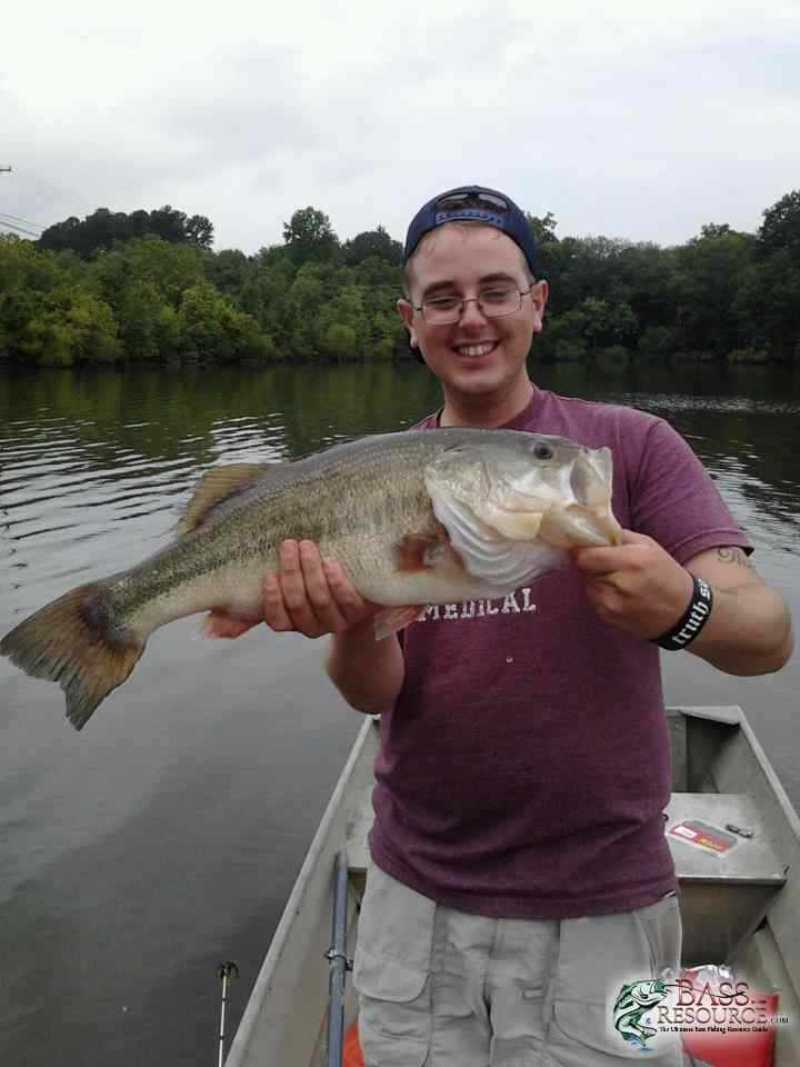 Hawg Handlin