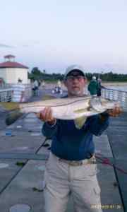Snook, Oct. 2012