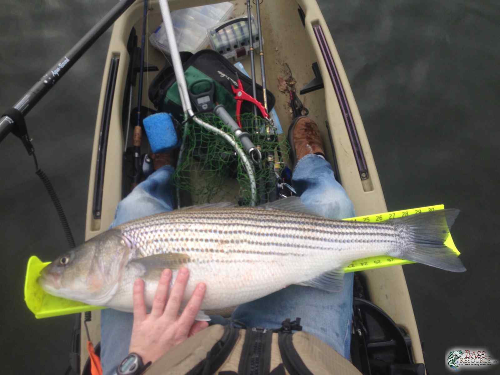 3-10-2014 - First Striper