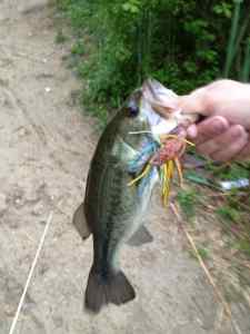 NorthStar Jig 1lb 4oz