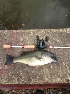 Jig Bass 3lb 5oz