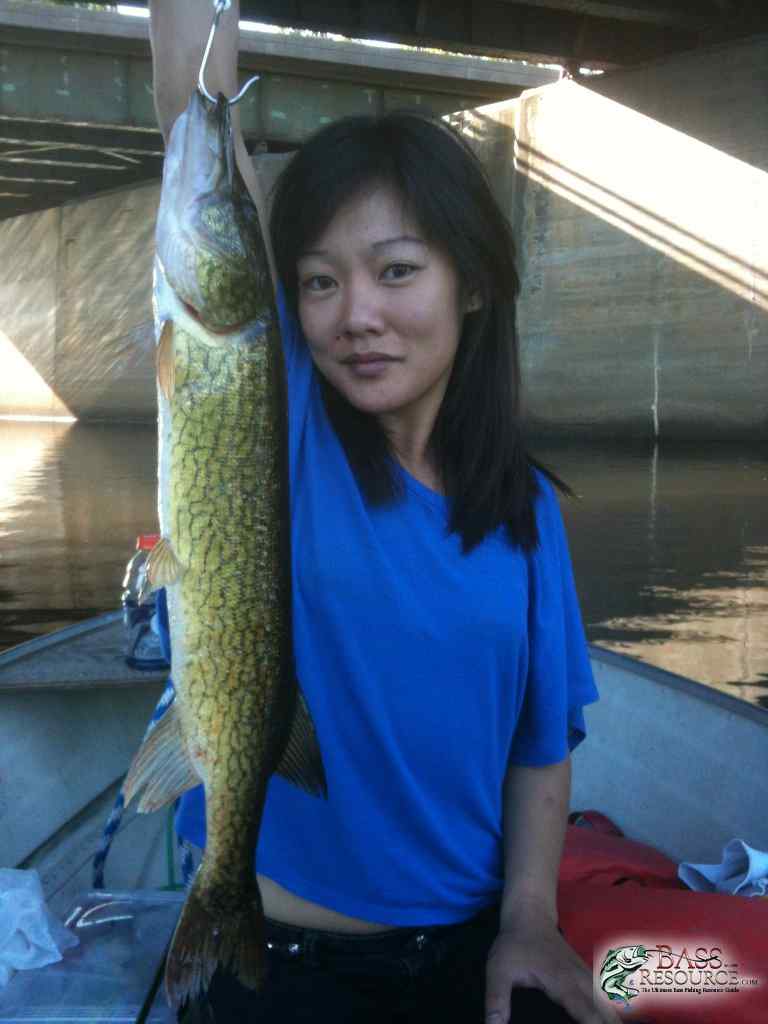 2012 in Maine