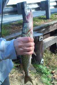 Nov. 15, 2012   Lake Tuckahoe (3)