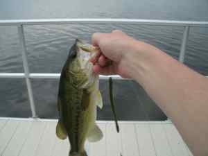May 2012 Largemouth