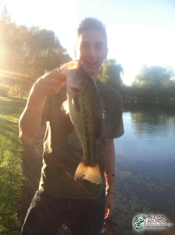 California Fishin'