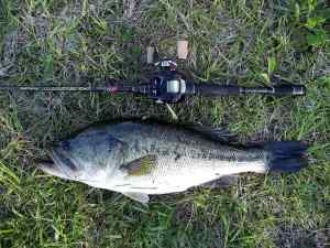 2013 05 07 21in 4.71lb LMB Oxford