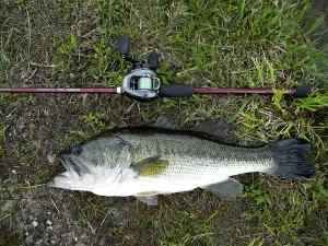 2013 05 11 21in 3.99lb LMB Spring
