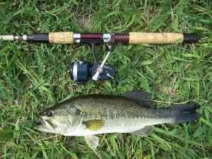 2013 05 31 Garcia 408 Conolon 15in 1.43lb LMB Pomeroy