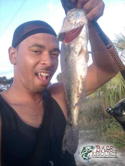 SENECASFISH