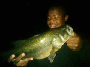 my 16yr olds first time using a jerkbait at night 5lbs