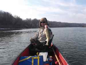 Tidal Potomac Walleye