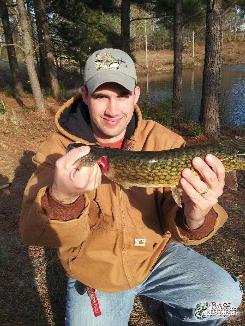 2013 fish