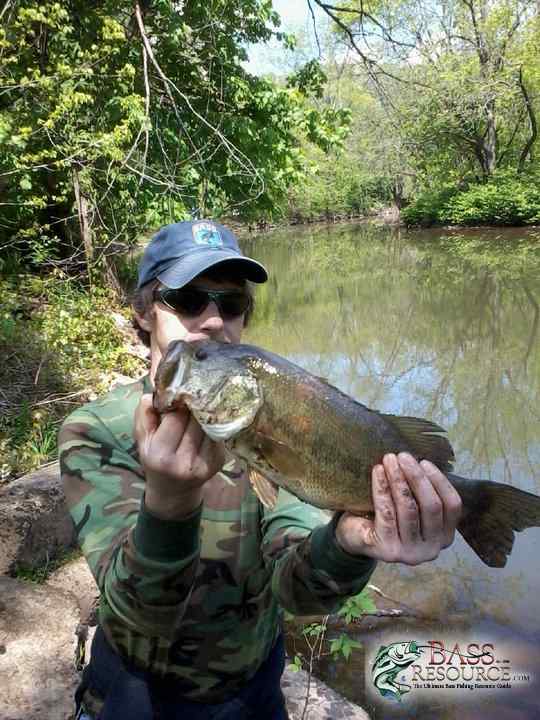 Swimbaiting