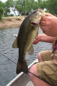 chubby one