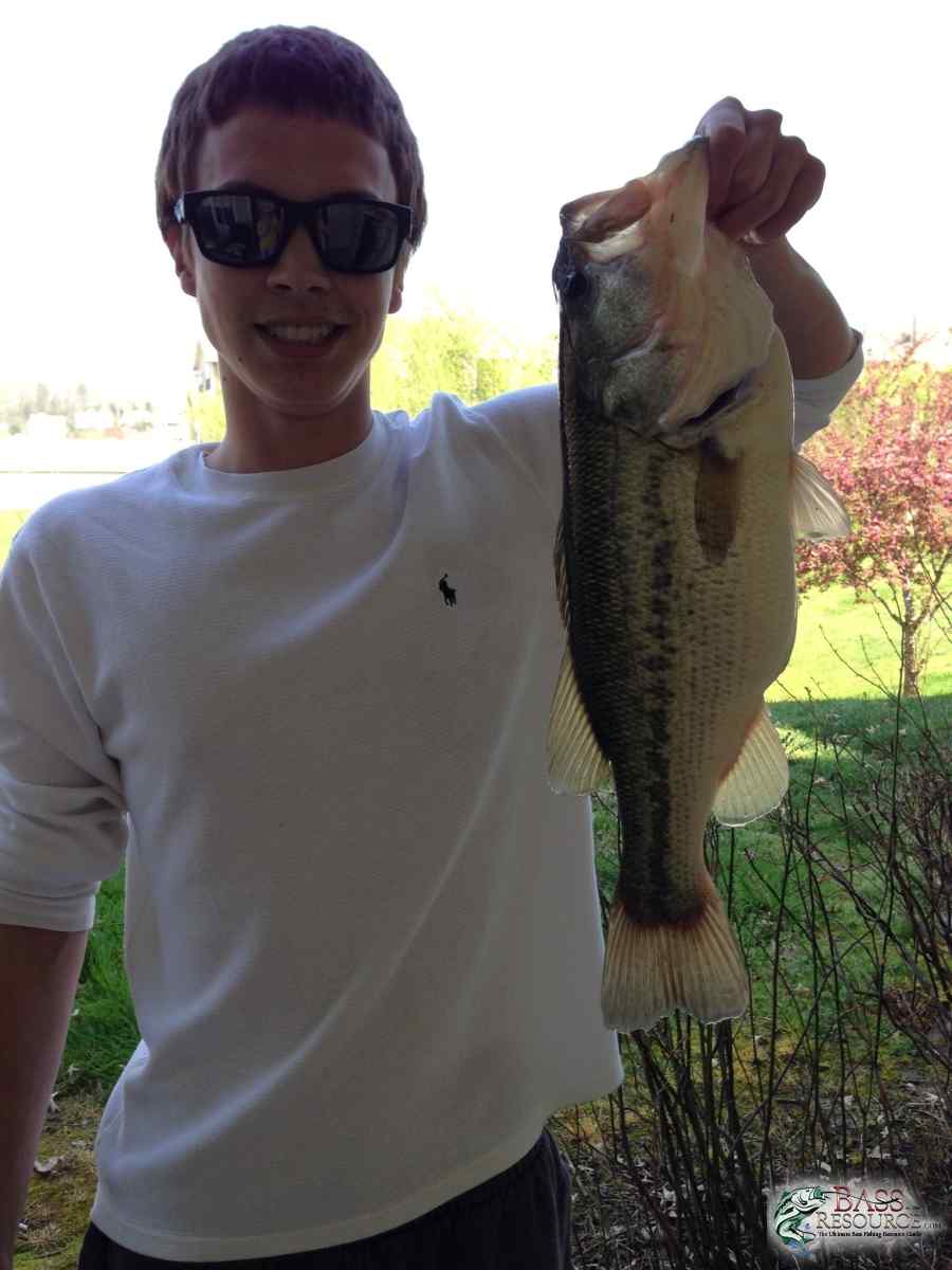 Largemouth