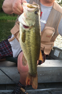 heavy one