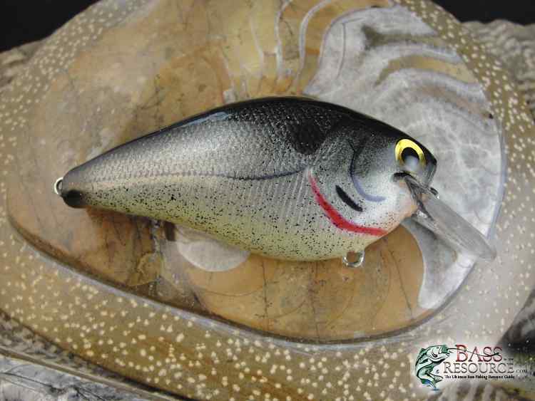 Lures
