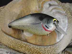 Basic Shad