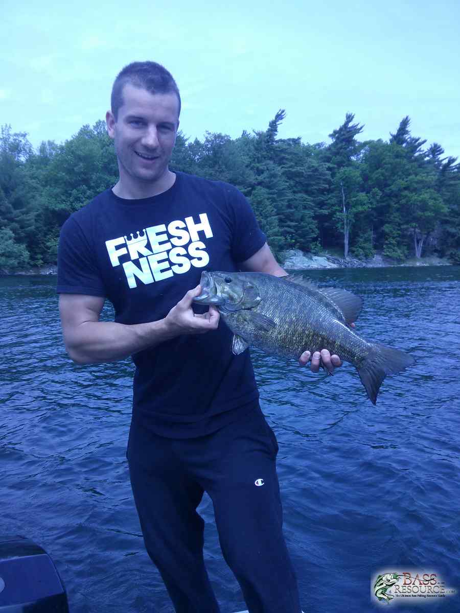 Here Fishy Fishy