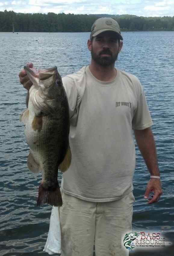 BASS