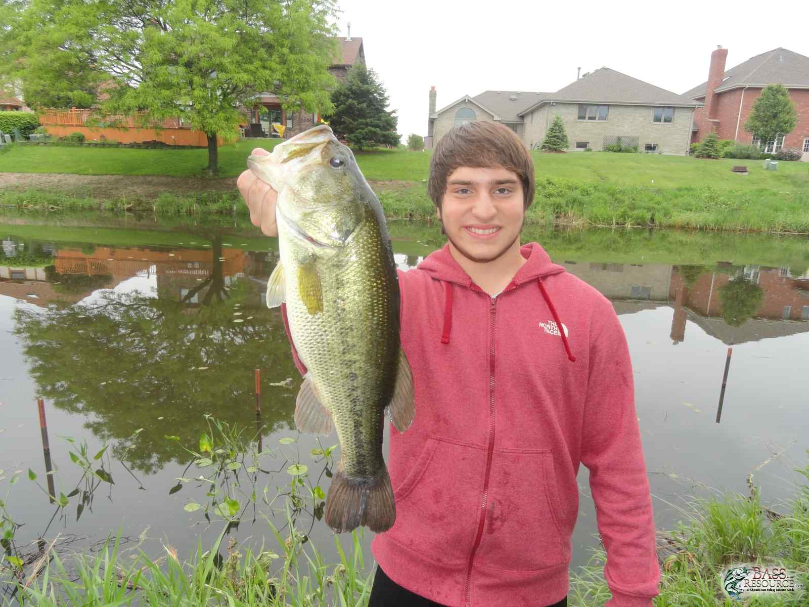 4lb