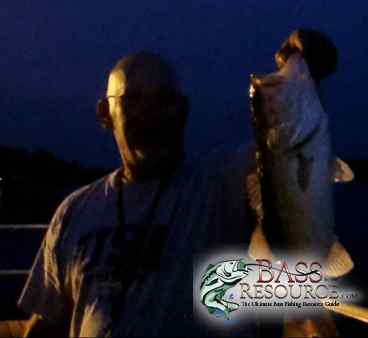 Bass