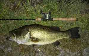 2012 08 28 26in 9.54lb LMB Spring