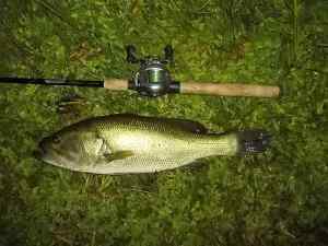 2012 08 29 20in 3.52lb LMB Spring