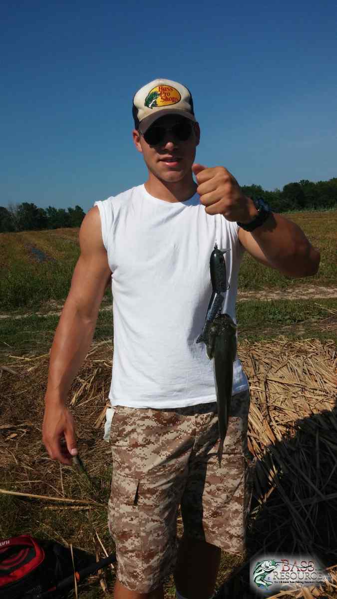 Fish measurements