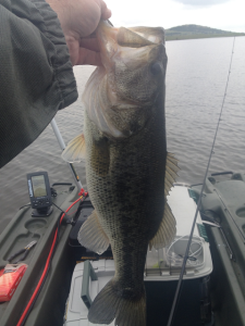 4.2 LMB 5 25 15 ET reduc
